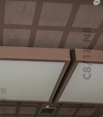 Placa Gyplac Exsound C12/25 N8 - Imagen 2