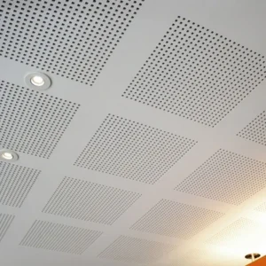 Placa Gyplac Exspund R15/30 N1