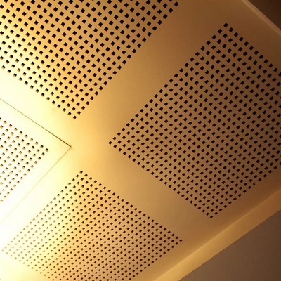 Placa Gyplac Exspund R15/30 N1 - Imagen 3